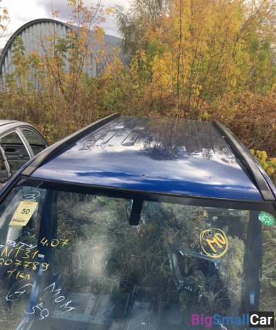 Крыша со стойками Ниссан икстреил синяя