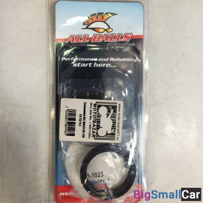 Сальники ALL BALLS 55-114 43x53x9.5 - купить Батайске