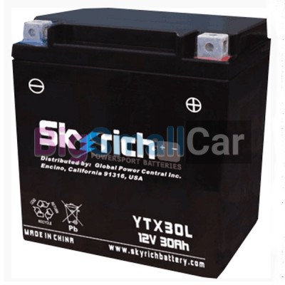 АКБ SKYRICH YTX30L-BS 21155 АКБ SKYRICH YTX30L-BS 21155